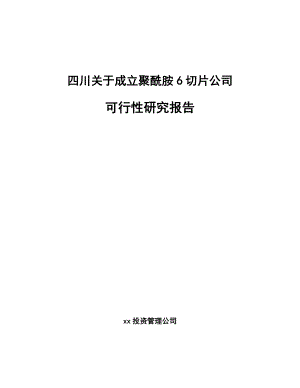 四川关于成立聚酰胺6切片公司可行性研究报告.docx