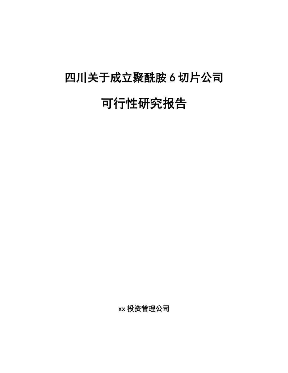 四川关于成立聚酰胺6切片公司可行性研究报告.docx_第1页