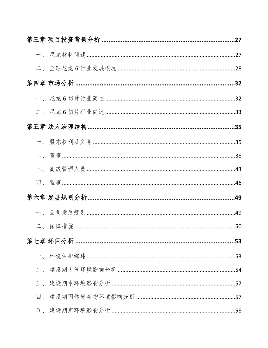 四川关于成立聚酰胺6切片公司可行性研究报告.docx_第3页