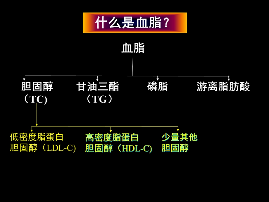 血脂异常的诊治与社区管理.ppt_第2页