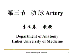 《系统解剖学》教学资料动脉.ppt