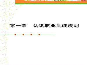 《大学生职业生涯规划》第1章认识职业生涯规划.ppt