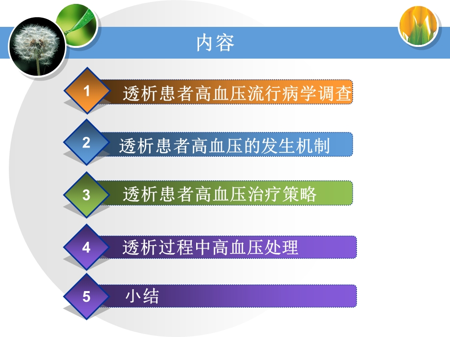 血液透析患者高血压的治疗探讨.ppt_第2页