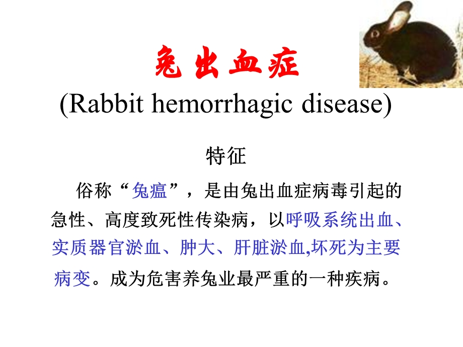 《实验动物与管理教学课件》6.兔出血症.ppt_第1页