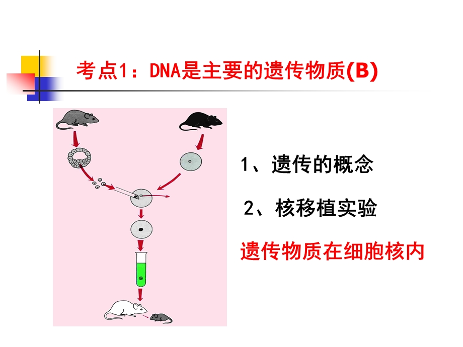 遗传变异和生物技术.ppt_第2页