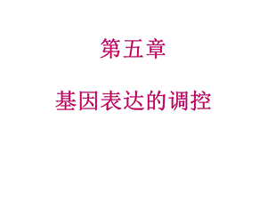 遗传学第五章基因表达的调.ppt