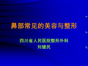 鼻部常见的美容与整形.ppt