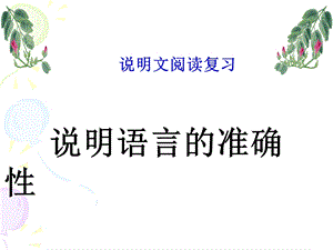 说明文语言的准确性.ppt