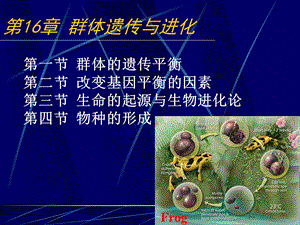 普通遗传学第十六章 群体遗传与进化.ppt