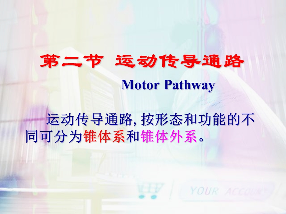 运动传导通路＿培训.ppt_第1页