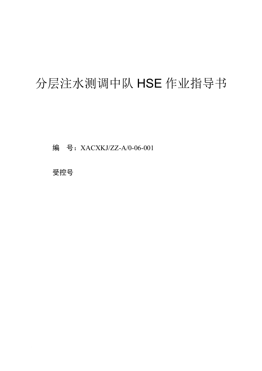 分层注水测调中队HSE作业指导书(一).doc_第1页