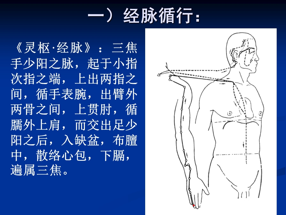 针灸学课件5.三焦经.ppt_第3页