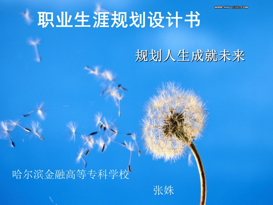 个人职业生涯规划范例.ppt_第1页