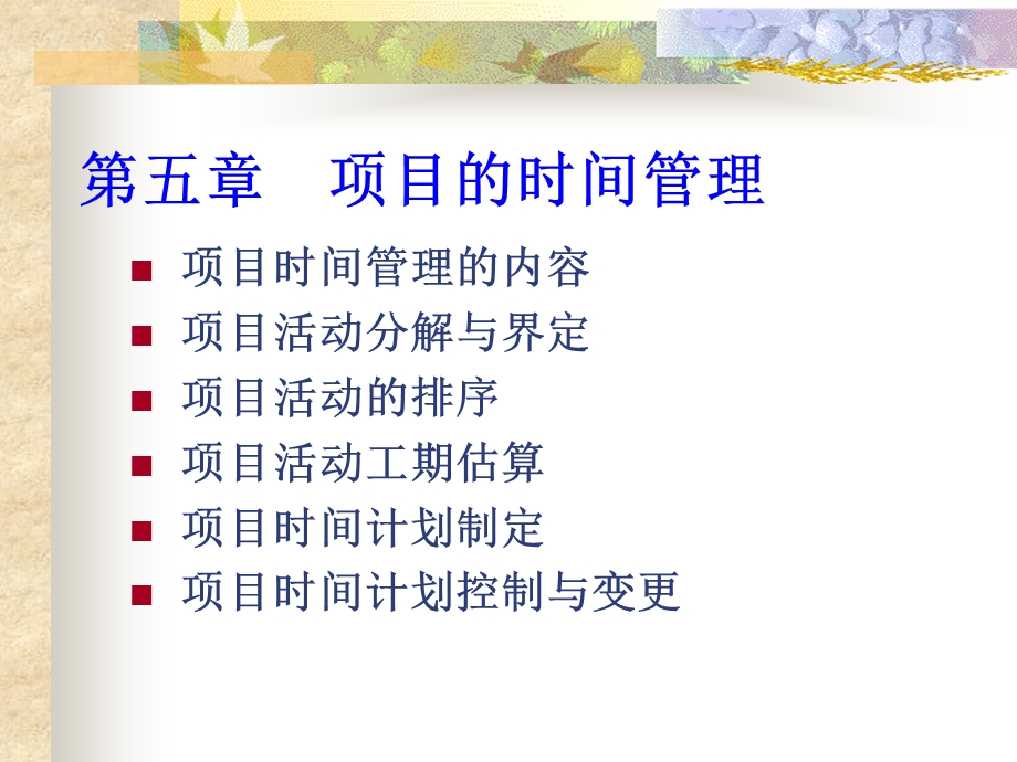 项目的时间管理.ppt_第1页