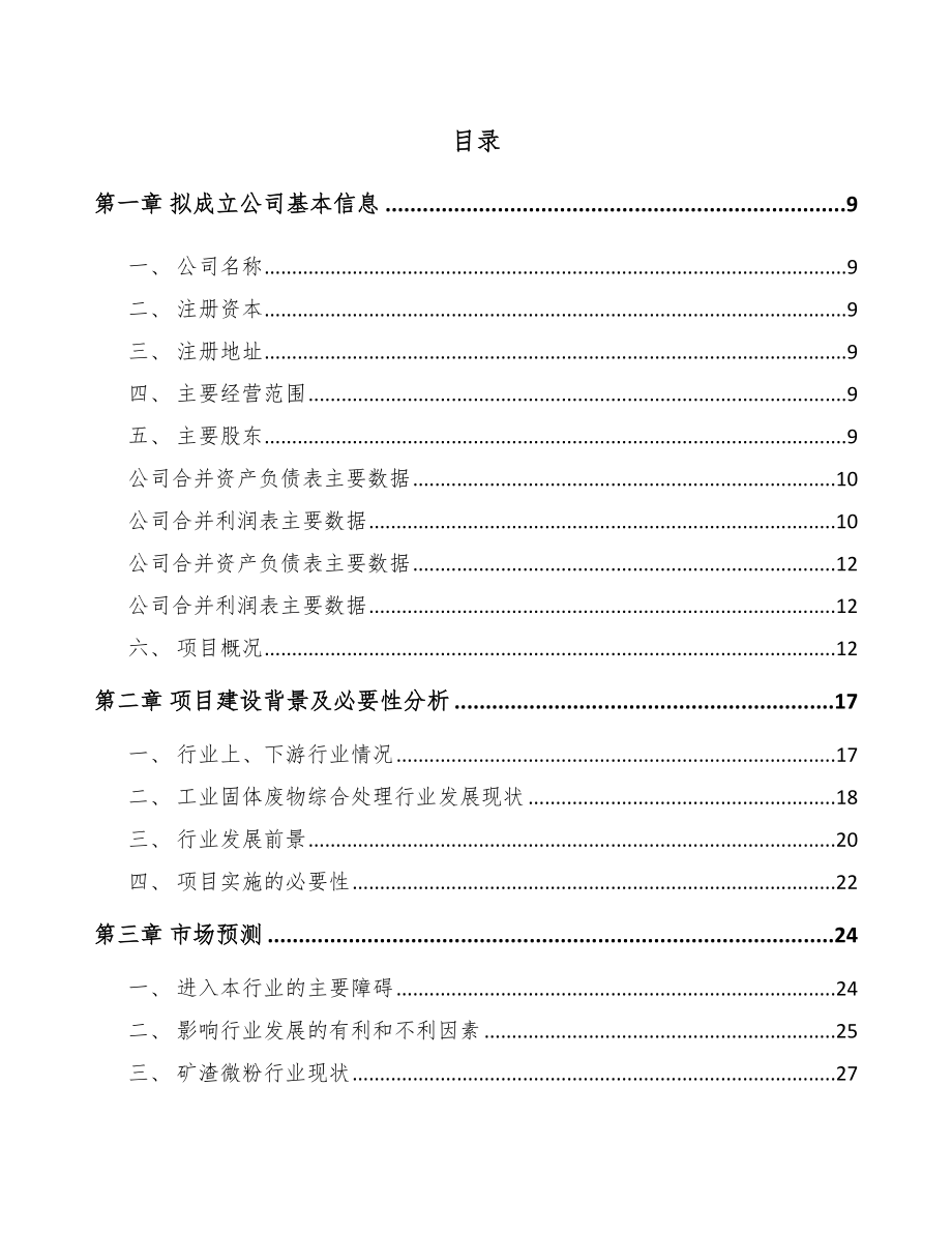 固原关于成立矿渣微粉公司可行性研究报告.docx_第2页