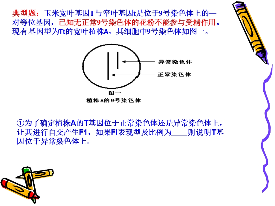 配子法解决染色体异常个体的遗传计算.ppt_第3页