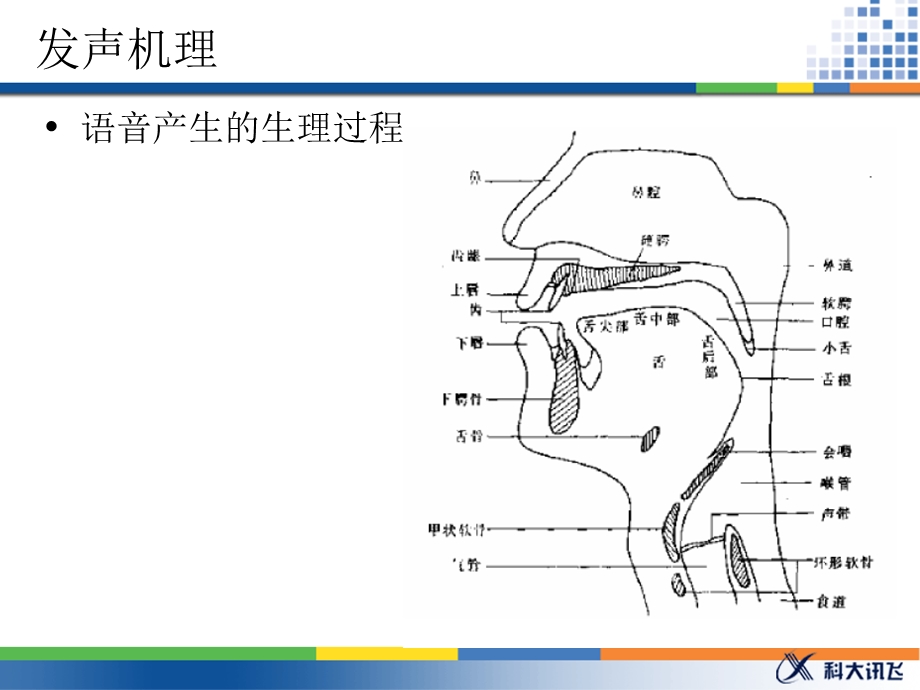 语音数据与语音合成.ppt_第3页