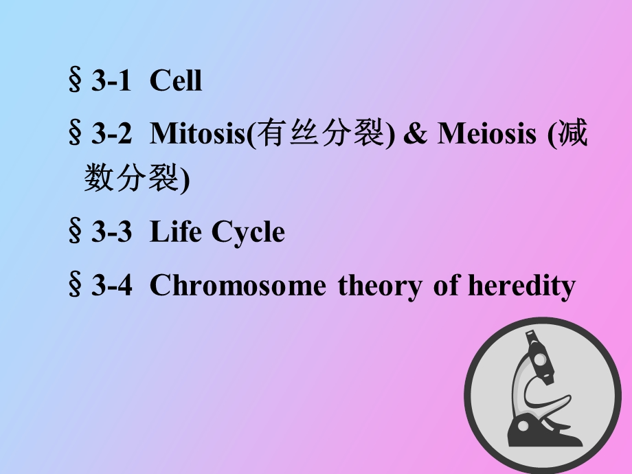 遗传的细胞学基础.ppt_第2页