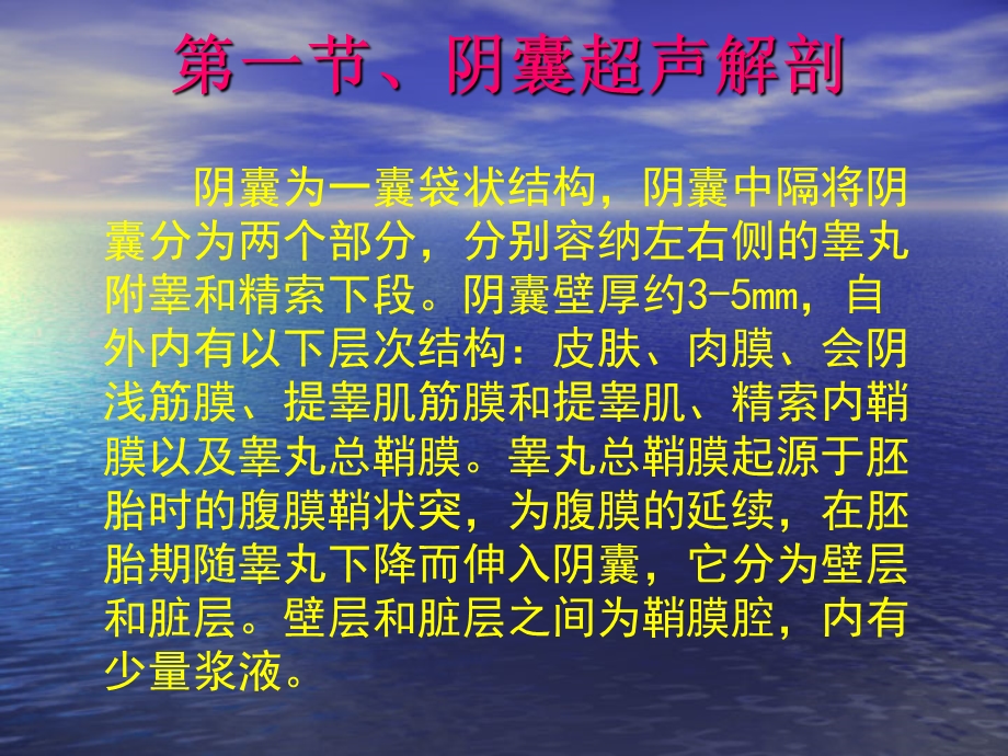 阴囊超声诊断课件.ppt_第2页