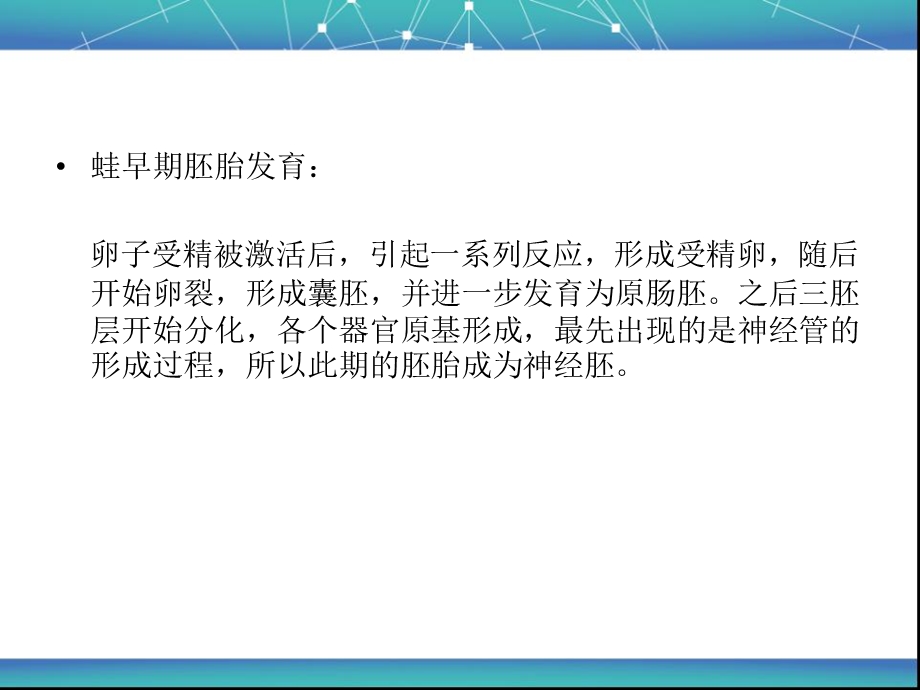 蛙早期胚胎切片观察.ppt_第2页