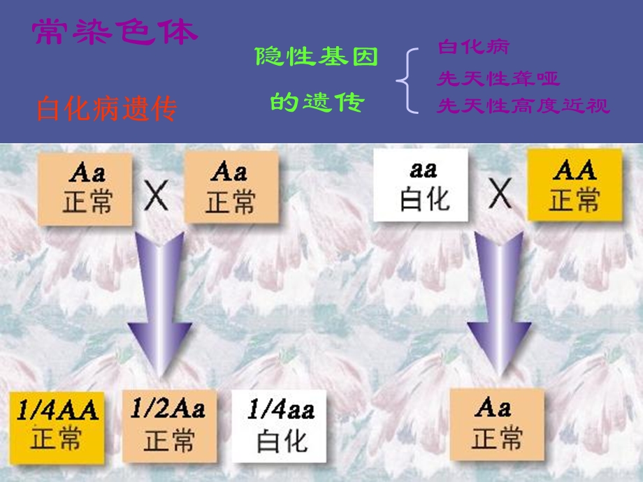 遗传与优生学.ppt_第3页