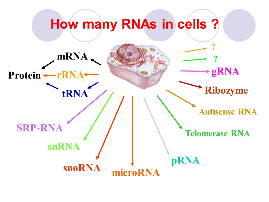 《计算系统生物学导论》系统生物学导论.ppt_第3页