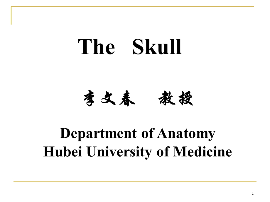 《系统解剖学》教学资料theskull颅骨.ppt_第1页