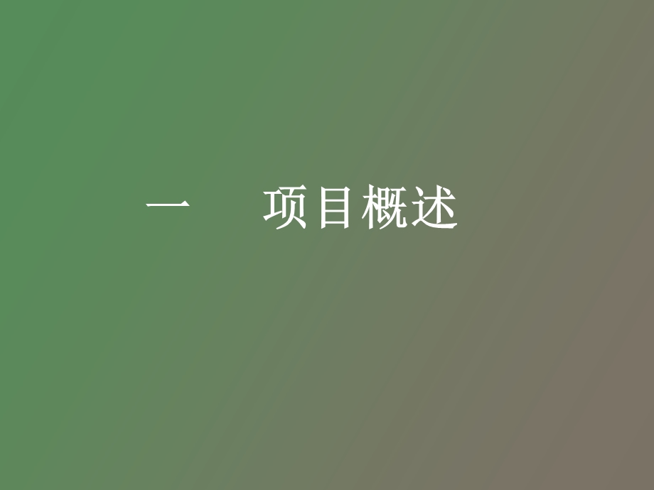 项目管理概论.ppt_第3页