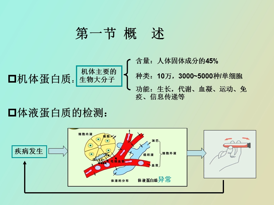 血清蛋白质测定.ppt_第3页