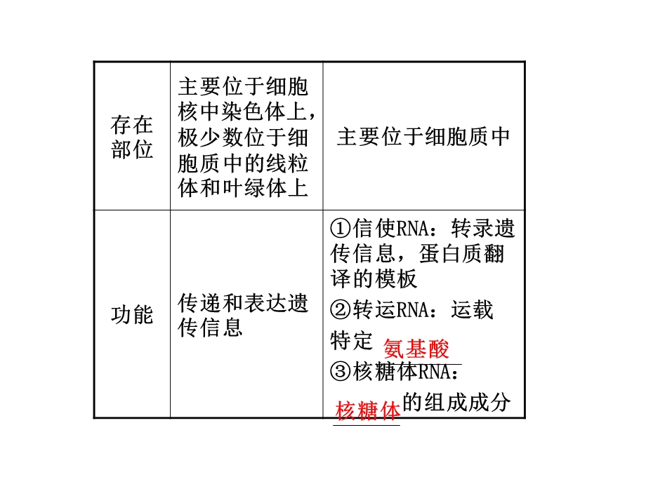 第22课时基因指导蛋白质的合成及对性状的控制.ppt_第3页