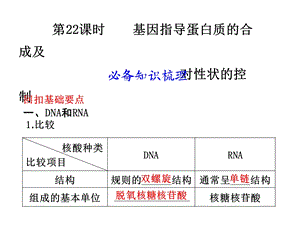 第22课时基因指导蛋白质的合成及对性状的控制.ppt