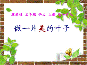 做一片美的叶子ppt课件.ppt