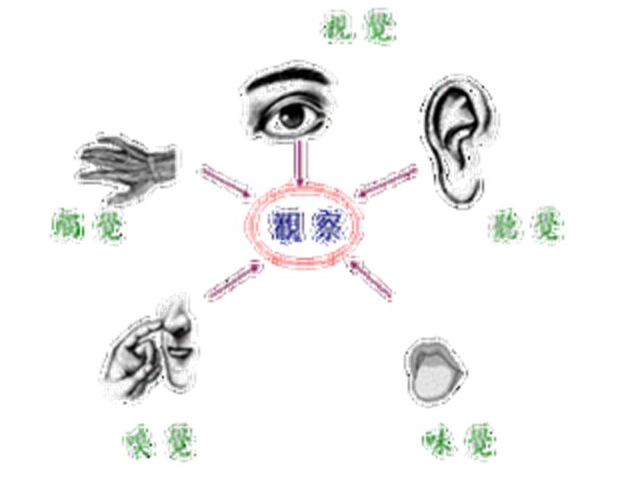 运用多种感官描写.ppt_第1页