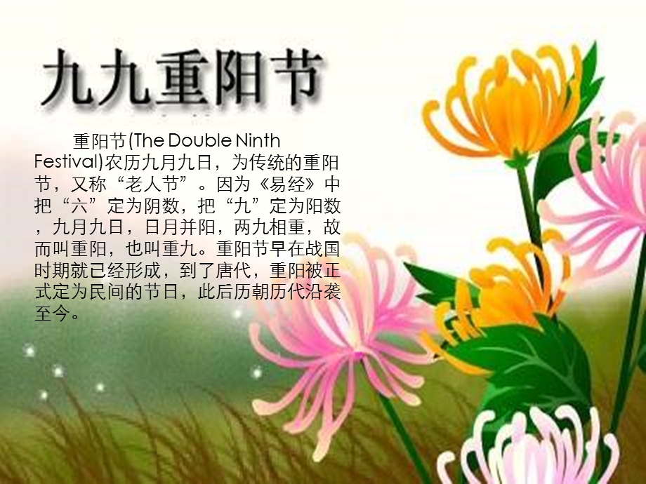 重阳节养老保险专题早会.ppt_第3页