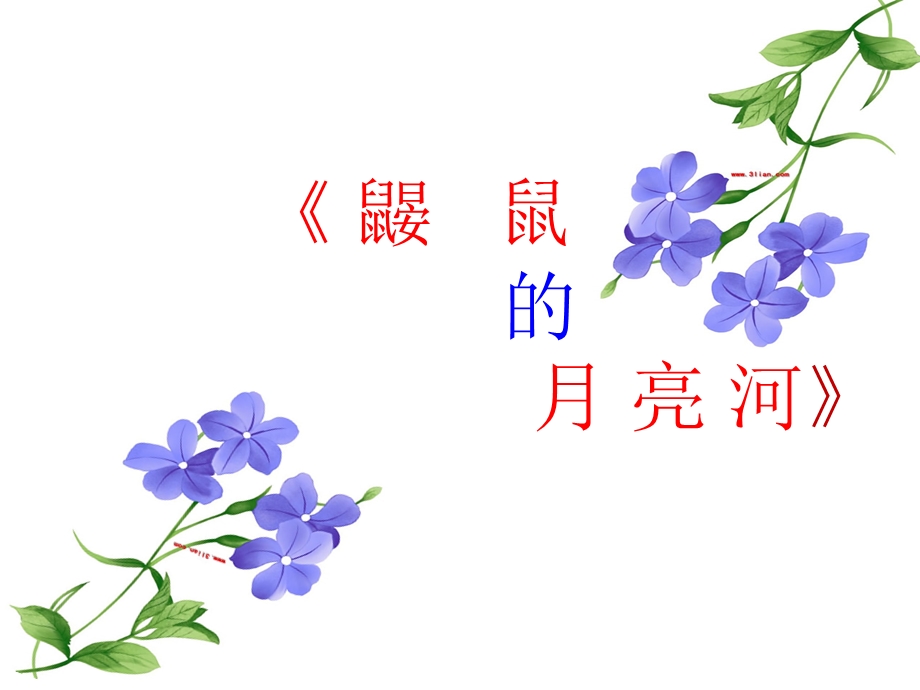 鼹鼠的月亮河课件.ppt_第2页