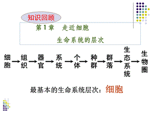 走近细胞生命系统的层次.ppt