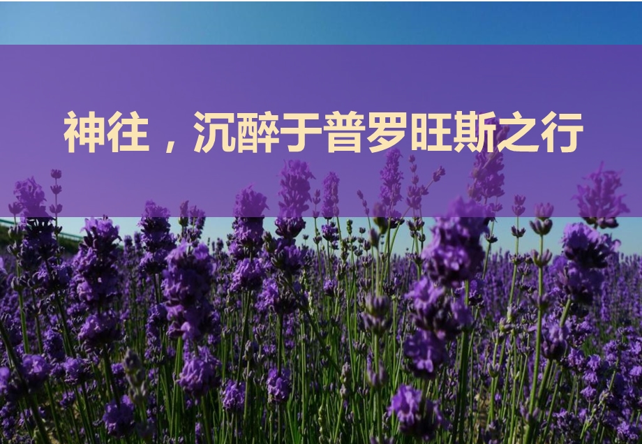 营销中心暨示范区开放活动.ppt_第2页