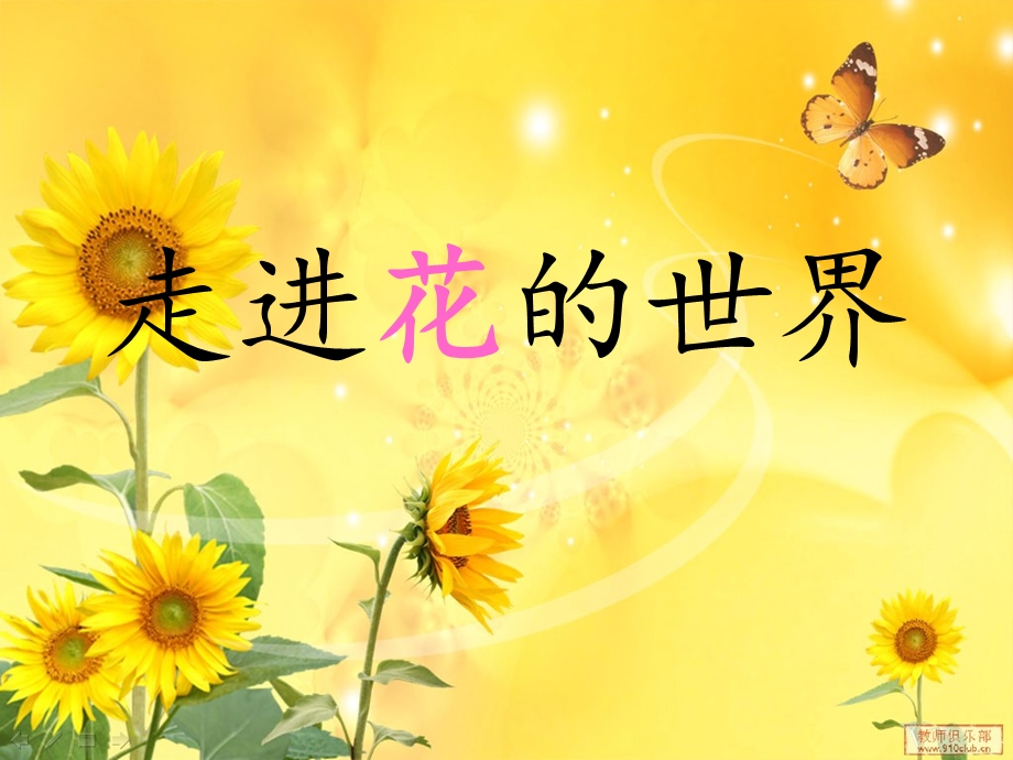 走进花的世界课件PPT.ppt_第1页