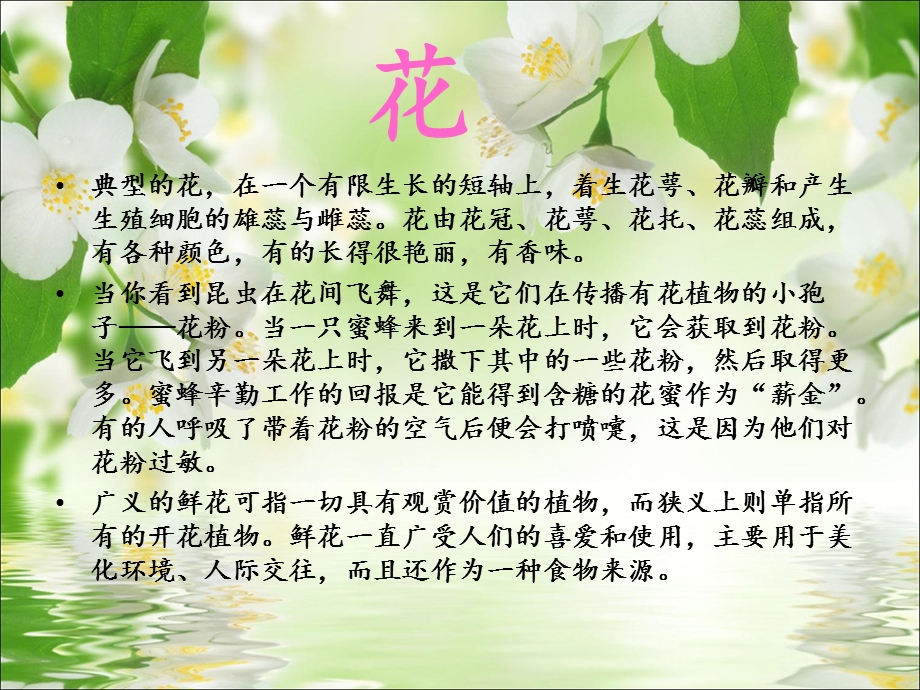 走进花的世界课件PPT.ppt_第2页