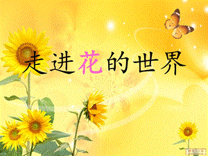 走进花的世界课件PPT.ppt