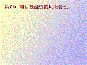 项目投融资的风险管理.ppt