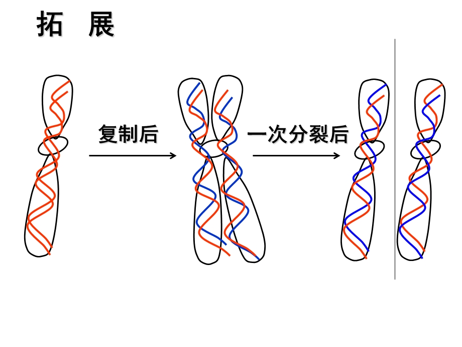 遗传信息的表达2-l.ppt_第1页