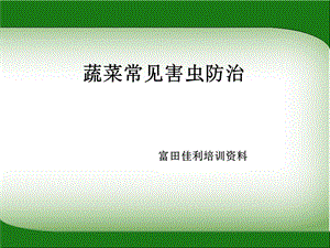 蔬菜常见害虫防治.ppt