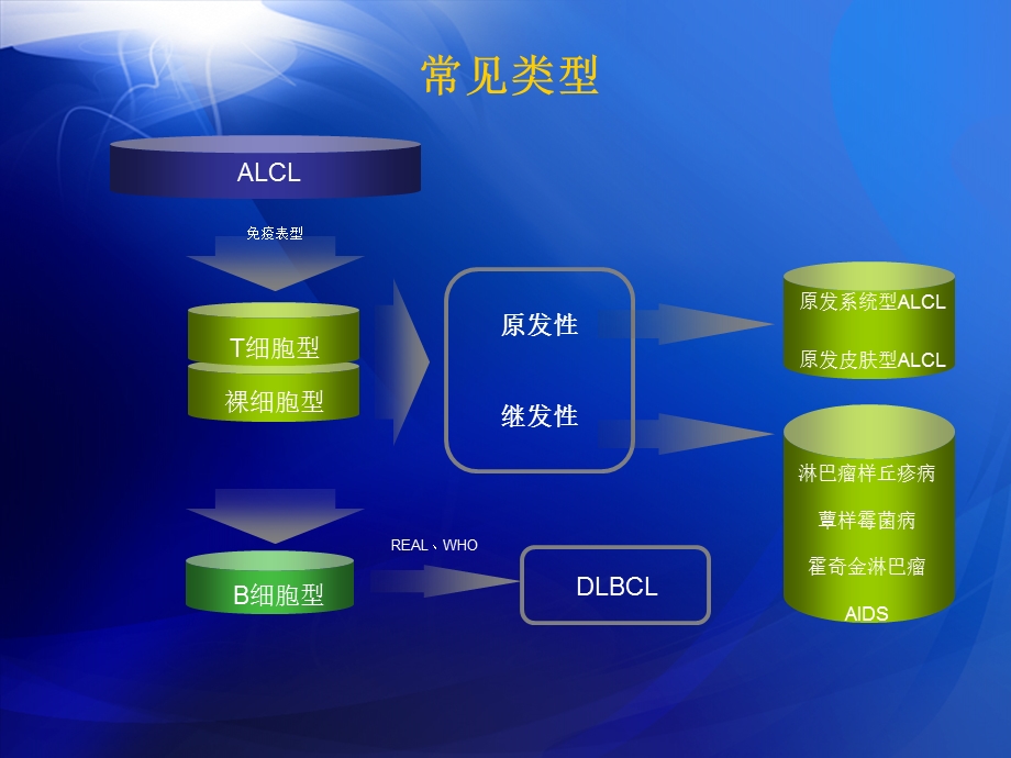 间变大细胞淋巴瘤.ppt_第3页