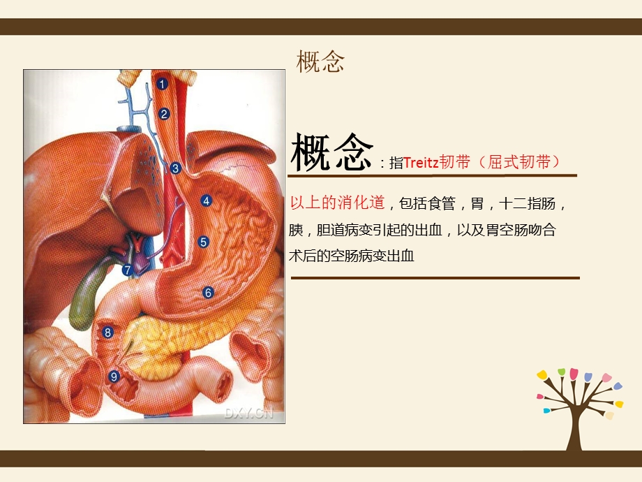 上消化道出血的护理查房.ppt_第3页