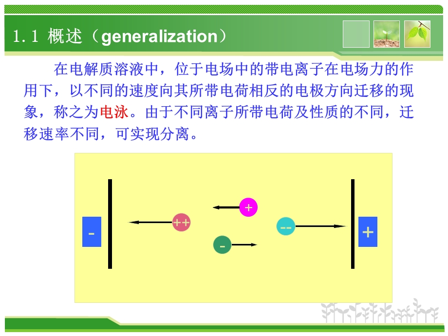 高效毛细管电泳分离氨基酸.ppt_第2页