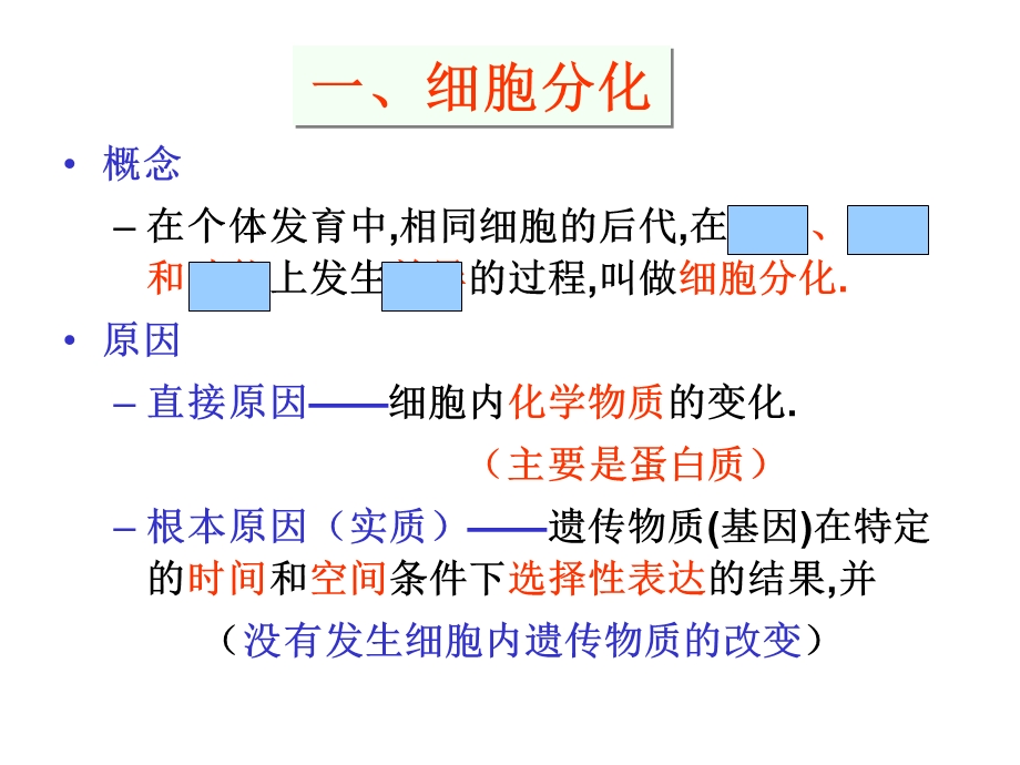 《高三生物复习资料》第11讲细胞分化癌变和衰老.ppt_第2页