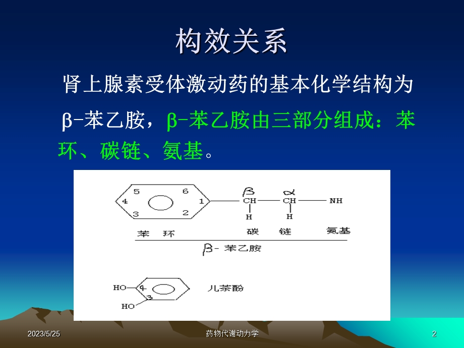 西医药理学第5章肾上腺素受体激动药.ppt_第2页