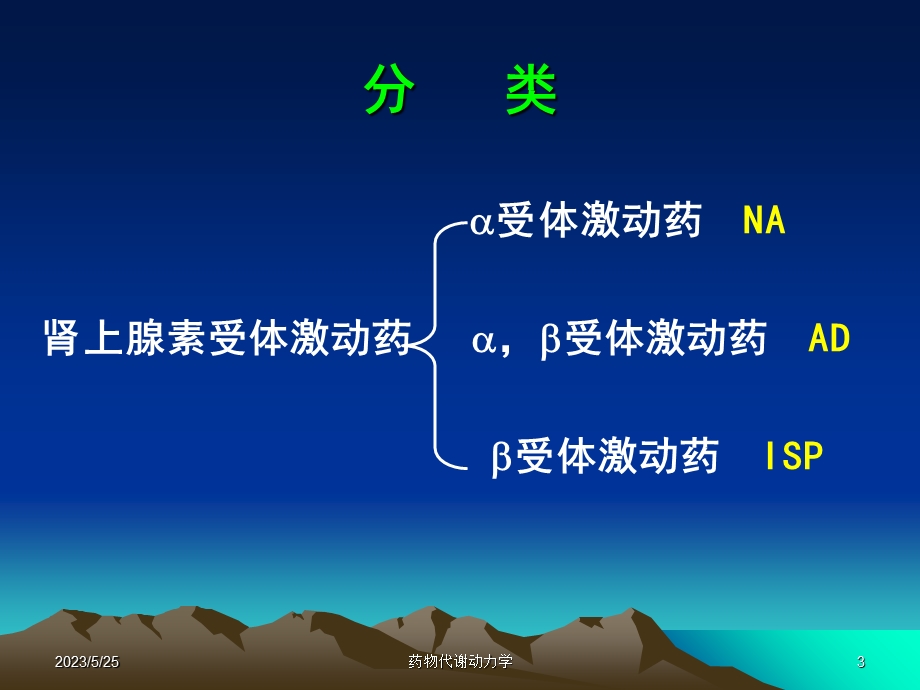 西医药理学第5章肾上腺素受体激动药.ppt_第3页