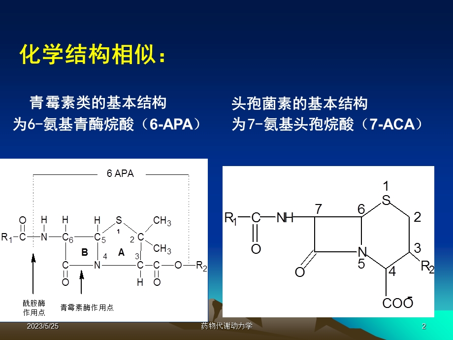 西医药理学第二十八章β-内酰胺类抗生素.ppt_第2页